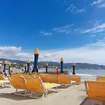 Golfo E Palme